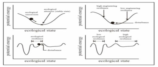 생태 회복력 (ecological resilience)의 개념도. *출처: Alberti, M. (2008). p. 233, Advances in urban ecology: integrating humans and ecological processes in urban ecosystems: Springer New York