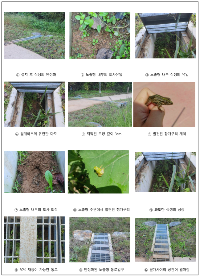 양서류 Eco-Trench 3차 모니터링