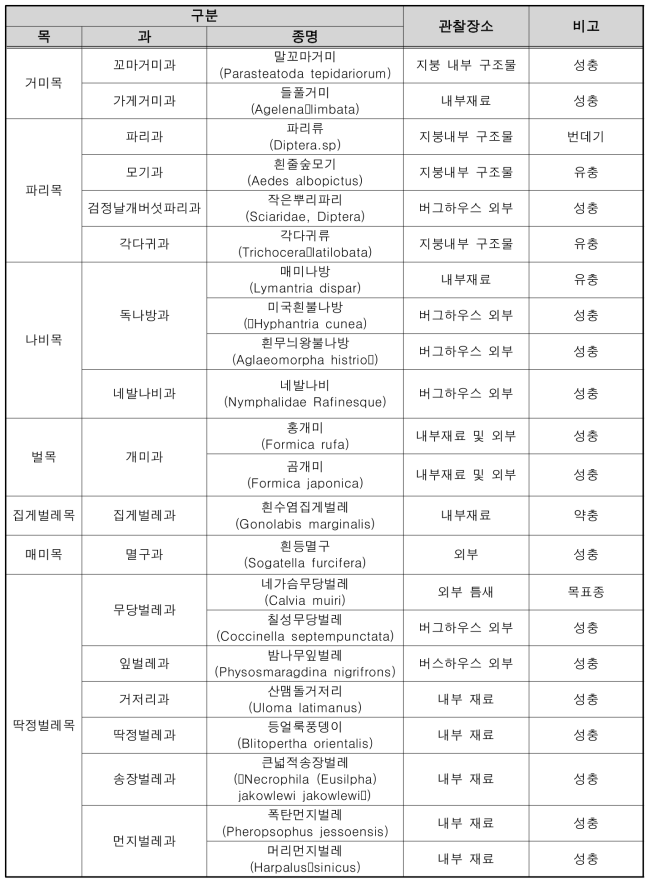 수원 버그하우스의 관찰종(3차 모니터링)