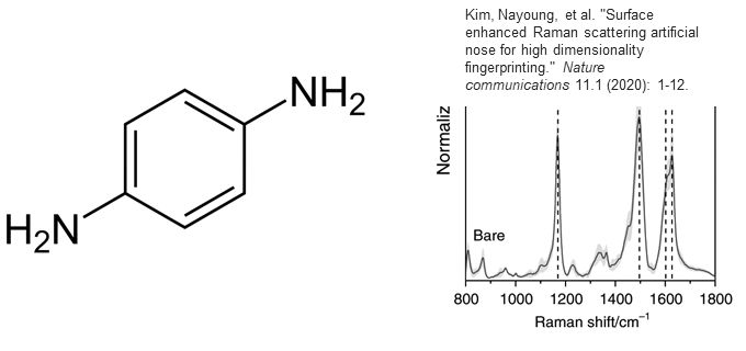 (좌)PPD 분자구조, (우) PPD의 SERS spectrum