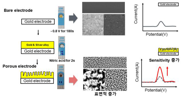 나노구조체(나노다공성 물질)를 통한 전극의 표면적 증가를 이용한 고감도 검출 기법 개발