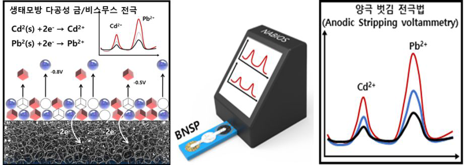 전기화학적 검출 기법을 통한 중금속 이온의 복합 검출 기술 전략