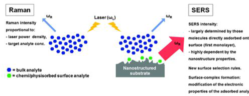 라만 분광법과 표면 증강 라만 분광법의 비교 개념도