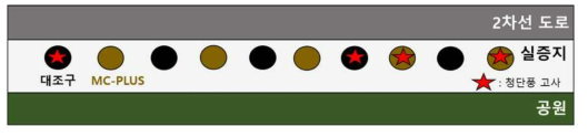 실증지 처리구 조성. 대조구와 MC-PLUS 처리구를 교차로 배치하였음. 식재되어 있던 청단풍이 고사한 자리는 별표로 표시하였음
