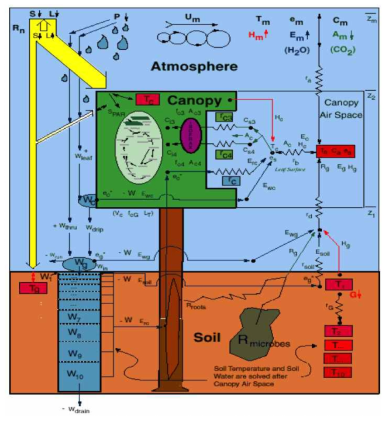 Simple Biosphere Model version 3(SiB3) 모식도