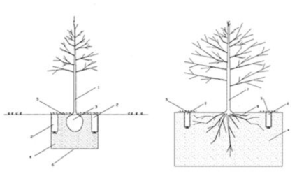 그물형 식재 기반의 예시 (국제출원번호 PCT/HR2014/000024 (2014.06.18.) “Composition for organic-inorganic fertilization and biological rehabilitation of trees, shrubs and climbing plants, package for the composition and process for using there of”)