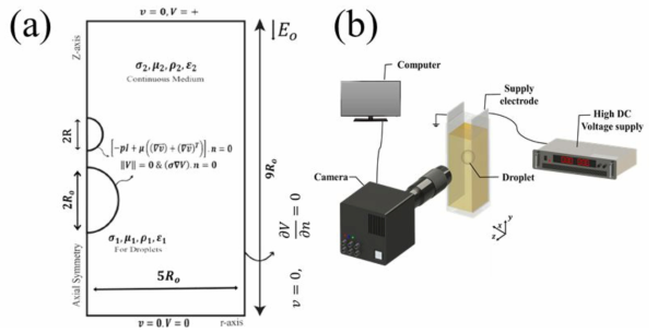 크기가 서로 다른 두 액적의 전기장을 통한 coalescence 현상 관찰을 위한 (a) 수치해석 boundary condition, (b) 실험 setup