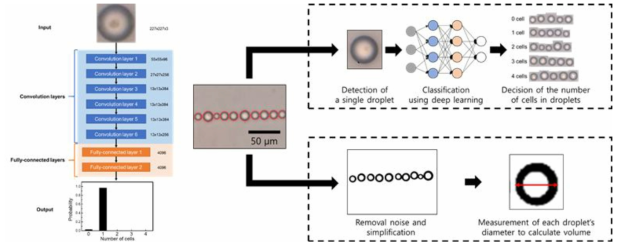 Convolution layer의 적용을 통한 deep-learning 시스템 정확도 향상