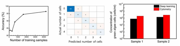 사전 학습 횟수에 따른 녹조 세포 수 측정 정확도 향상 및 기존 혈구계수기 방법과의 녹조 세포 수 측정 결과 비교