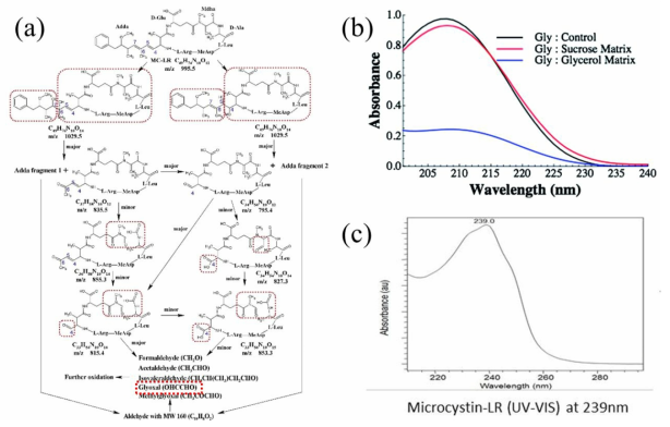 (a) Microcystis와 오존 결합시 glyoxal이 생성되는 과정 (Water research, 63, 52-61, 2014), (b) glyoxal의 wavelength peak, (Environmental Science: Processes & Impacts, 16(4), 741-747, 2014), (c) microcystin의 wavelength peak