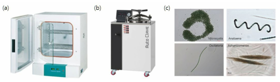 녹조 실험에 사용되는 장비 및 남조류 (a) 배양기 (b) 고압증기멸균기 (c) 녹조 현상의 원인이 되는 남조류 종류