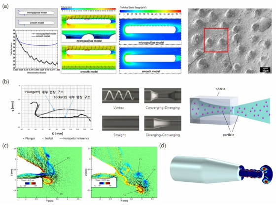 (a) 딱총새우의 micropapillae 표면 구조과 smooth 구조에서의 유체 이송 비교 및 SEM 이미지로 나타낸 실제 딱총새우의 micropapillae 표면구조 (b) 딱총새우의 집게에서 물이 분사되는 공간의 형상을 나타낸 그래프(왼쪽)와 기본 분사노즐 형태(가운데) 및 노즐부분에서의 PIV 유동 가시화 (오른쪽) (c) 딱총새우집게 끝부분에서의 유동 Vortex (d) 본 연구진의 사전 연구로써 시뮬레이션을 통한 노즐 끝부분에서의 유동 Vortex 분석의 예