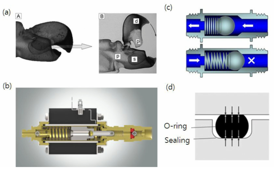(a)딱총새우의 집게 구조 : (A)딱총새우 집게가 닫혔을 때 물이 분사되는 방향 및 (B)집게가 열렸을 때의 구조 (pl : Plunger, s : socket, d : dactyl , p : propus), (b)솔레노이드 펌프 구조, (c)솔레노이드 펌프를 이용한 유체 이송 방법 (위 : 유체가 이송될 때, 아래 : 유체가 멈췄을 때), (d) 장치 외부와의 방수 설계