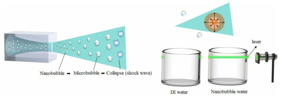 나노버블 분사기와 발생기를 통해 이송된 나노버블 가시화