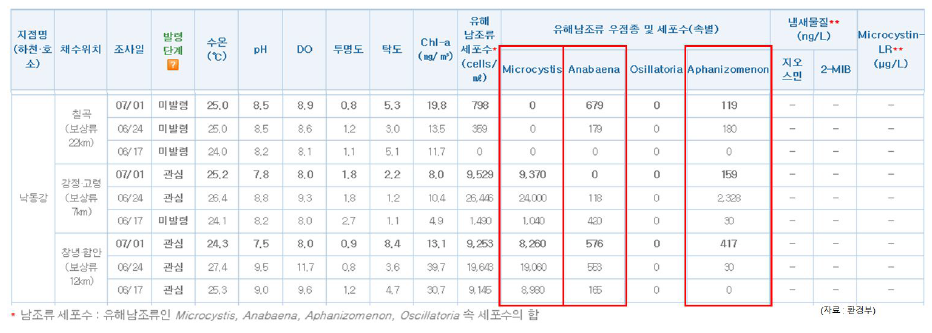 2019년 여름철 우리나라 낙동강에서의 녹조발생 현황 및 세포수