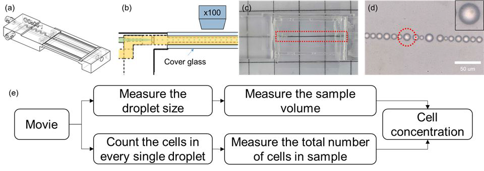 (a) droplet generator 칩 구조도 및 (b) 단면도, (d) cover glass를 부착하여 실제 제작된 칩, (e) 남조류 세포 수 측정방법 흐름도