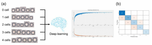 (a) 실험을 통해 얻은 남조류 세포 이미지, (b) deep-learning을 통해 판독시킨 이미지 결과