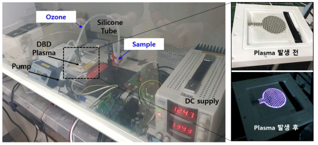 DBD plasma 기반 오존수 발생 장치와 PBS 용액 내 황색포도상구균 살균 실험 사진