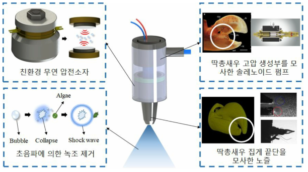 딱총새우를 모사한 녹조제거 장치의 모식도