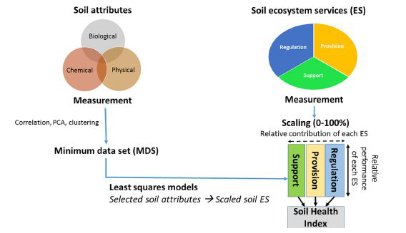토양 생태계 모니터링을 통한 토양 건강성 평가 (Rinot, O., et al, 2019)