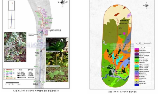 희귀식물 분포현황(좌) 및 현존식생도(우) 분석 사례