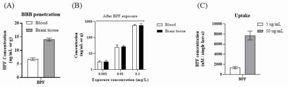 제브라피쉬 성체 및 치어 모델에서의 BPF 생체 축적 및 혈-뇌 장벽 투과도 평가. (A) 2 mg/L를 급성 (2 시간) 노출시킨 성체 모델에서 혈액 및 뇌 조직 내 BPF 정량분석. (B) 환경 중 농도 (0.001, 0.01, 0.1 mg/L)를 28일간 장기 노출한 성체 모델에서 혈액 및 뇌 조직 내 BPF 정량 분석. (C) 5, 10 mg/L를 배아 단계에서 노출한 뒤 치어 모델에서의 BPF 정량 분석