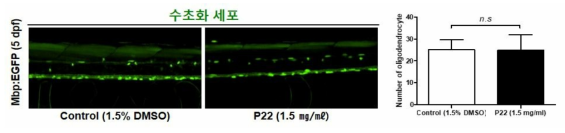 코팅제 P22가 제브라피쉬 배아의 수초화 세포에 미치는 독성 평가 (control (1.5% DMSO): n=38, P22: n=23)
