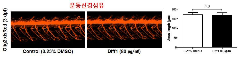 방향제 Diff1이 제브라피쉬 배아의 운동신경섬유에 미치는 독성 평가 (control (0.23% DMSO): n=37, Diff1: n=41)