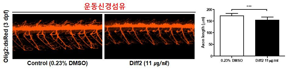 방향제 Diff2가 제브라피쉬 배아의 운동신경섬유에 미치는 독성 평가 (control (0.23% DMSO): n=37, Diff2: n=46)
