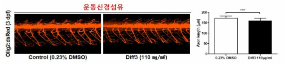 방향제 Diff3가 제브라피쉬 배아의 운동신경섬유에 미치는 독성 평가 (control (0.23% DMSO): n=37, Diff3: n=43)