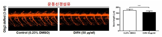 방향제 Diff4가 제브라피쉬 배아의 운동신경섬유에 미치는 독성 평가 (control (0.23% DMSO): n=37, Diff4: n=43)