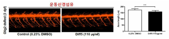 방향제 Diff5가 제브라피쉬 배아의 운동신경섬유에 미치는 독성 평가 (control (0.23% DMSO): n=37, Diff5: n=43)