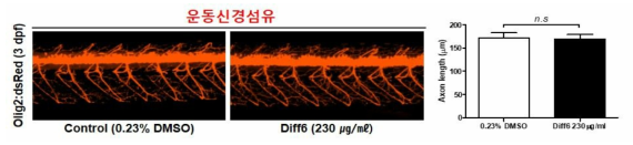 방향제 Diff6가 제브라피쉬 배아의 운동신경섬유에 미치는 독성 평가 (control (0.23% DMSO): n=37, Diff6: n=34)