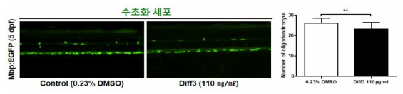 방향제 Diff3가 제브라피쉬 배아의 수초화 세포에 미치는 독성 평가 (control (0.23% DMSO): n=28, Diff3: n=25)