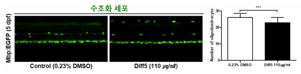 방향제 Diff5가 제브라피쉬 배아의 수초화 세포에 미치는 독성 평가 (control (0.23% DMSO): n=28, Diff5: n=30)