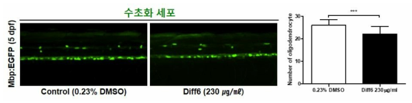 방향제 Diff6가 제브라피쉬 배아의 수초화 세포에 미치는 독성 평가 (control (0.23% DMSO): n=28, Diff6: n=25)