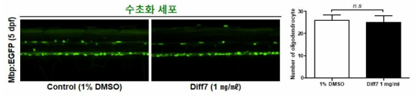 방향제 Diff7이 제브라피쉬 배아의 수초화 세포에 미치는 독성 평가 (control (1% DMSO): n=28, Diff7: n=28)