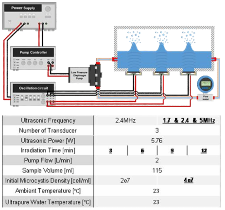 1.7, 2.4 및 5MHz 초음파 복합 배치를 적용한 대량 용액 순환 시스템에서의 마이크로시스티스의 초기농도별 초음파 가진 시간에 따른 파쇄 특성을 연구하기 위한 시스템의 개략도 및 상세 정보