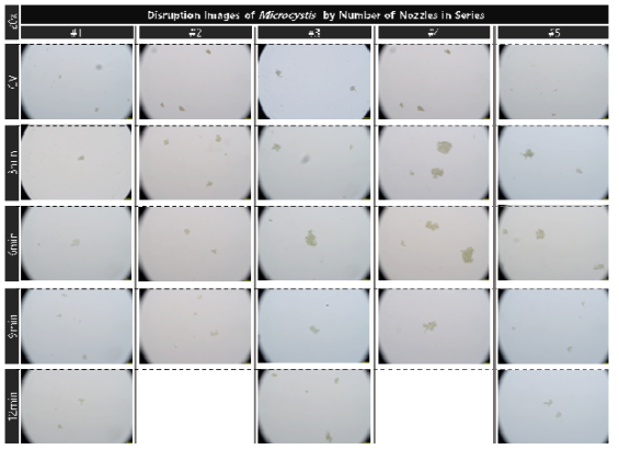 초기 농도 3.2e7개/ml의 마이크로시스티스의 유체역학 방법 노즐 적용 대량 용액 순환 시스템에서의 노즐의 직렬 개수와 분사 시간 증가에 따른 파쇄 특성 현미경 관찰(20x)
