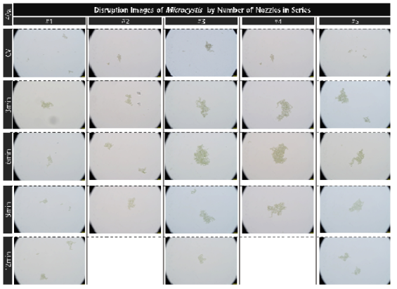 초기 농도 3.2e7개/ml의 마이크로시스티스의 유체역학 방법 노즐 적용 대량 용액 순환 시스템에서의 노즐의 직렬 개수와 분사 시간 증가에 따른 파쇄 특성 현미경 관찰(40x)