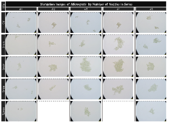 초기 농도 3.2e7개/ml의 마이크로시스티스의 유체역학 방법 노즐 적용 대량 용액 순환 시스템에서의 노즐의 직렬 개수와 분사 시간 증가에 따른 파쇄 특성 현미경 관찰(60x)