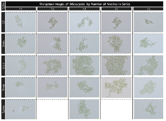 초기 농도 3.2e7개/ml의 마이크로시스티스의 유체역학 방법 노즐 적용 대량 용액 순환 시스템에서의 노즐의 직렬 개수와 분사 시간 증가에 따른 파쇄 특성 현미경 관찰(120x)