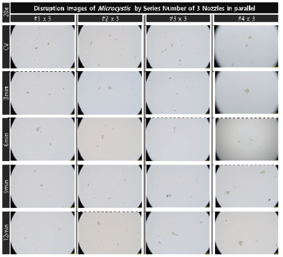 초기 농도 4.2e7개/ml의 마이크로시스티스의 노즐 배치 개수가 증가한 대량 용액 순환 시스템에서의 노즐의 직렬 개수와 분사 시간 증가에 따른 파쇄 특성 현미경 관찰(20x)