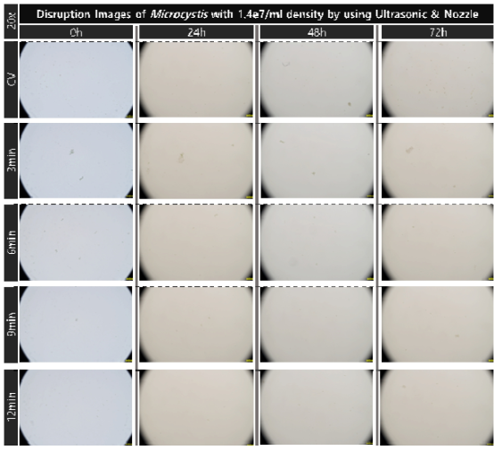 초음파 및 유체역학 방법별 최적 선정 조건을 복합적으로 적용한 대량 용액 순환 시스템에서 초기 농도 약 1.4e7개/ml의 마이크로시스티스의 가진 및 분사 시간에 따른 파쇄 특성 현미경 관찰 결과(20x)
