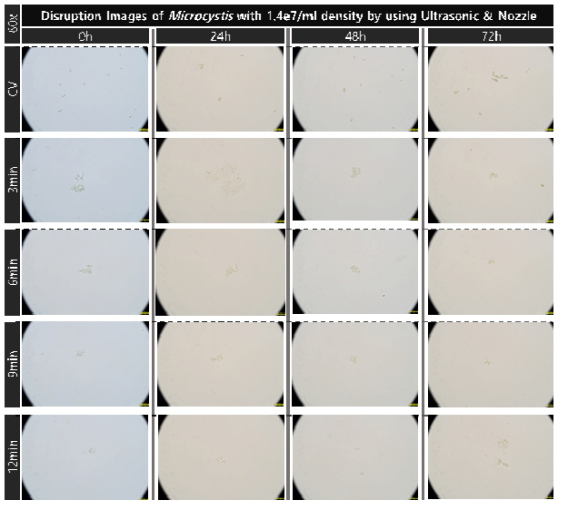 초음파 및 유체역학 방법별 최적 선정 조건을 복합적으로 적용한 대량 용액 순환 시스템에서 초기 농도 약 1.4e7개/ml의 마이크로시스티스의 가진 및 분사 시간에 따른 파쇄 특성 현미경 관찰 결과(60x)