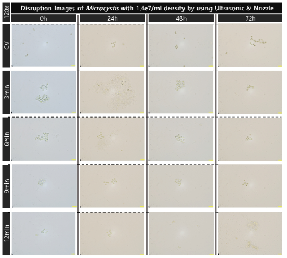 초음파 및 유체역학 방법별 최적 선정 조건을 복합적으로 적용한 대량 용액 순환 시스템에서 초기 농도 약 1.4e7개/ml의 마이크로시스티스의 가진 및 분사 시간에 따른 파쇄 특성 현미경 관찰 결과(120x)
