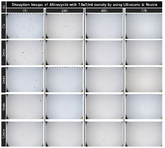 초음파 및 유체역학 방법별 최적 선정 조건을 복합적으로 적용한 대량 용액 순환 시스템에서 초기 농도 약 7.0e7개/ml의 마이크로시스티스의 가진 및 분사 시간에 따른 파쇄 특성 현미경 관찰 결과(4x)