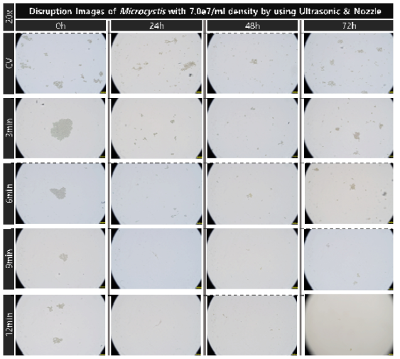 초음파 및 유체역학 방법별 최적 선정 조건을 복합적으로 적용한 대량 용액 순환 시스템에서 초기 농도 약 7.0e7개/ml의 마이크로시스티스의 가진 및 분사 시간에 따른 파쇄 특성 현미경 관찰 결과(20x)
