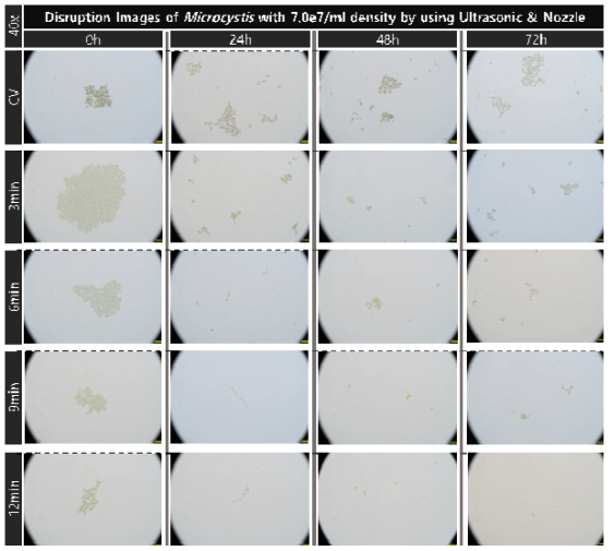 초음파 및 유체역학 방법별 최적 선정 조건을 복합적으로 적용한 대량 용액 순환 시스템에서 초기 농도 약 7.0e7개/ml의 마이크로시스티스의 가진 및 분사 시간에 따른 파쇄 특성 현미경 관찰 결과(40x)