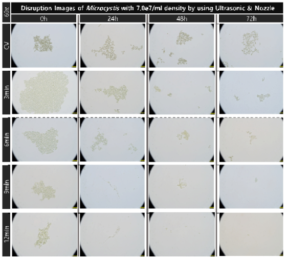 초음파 및 유체역학 방법별 최적 선정 조건을 복합적으로 적용한 대량 용액 순환 시스템에서 초기 농도 약 7.0e7개/ml의 마이크로시스티스의 가진 및 분사 시간에 따른 파쇄 특성 현미경 관찰 결과(60x)
